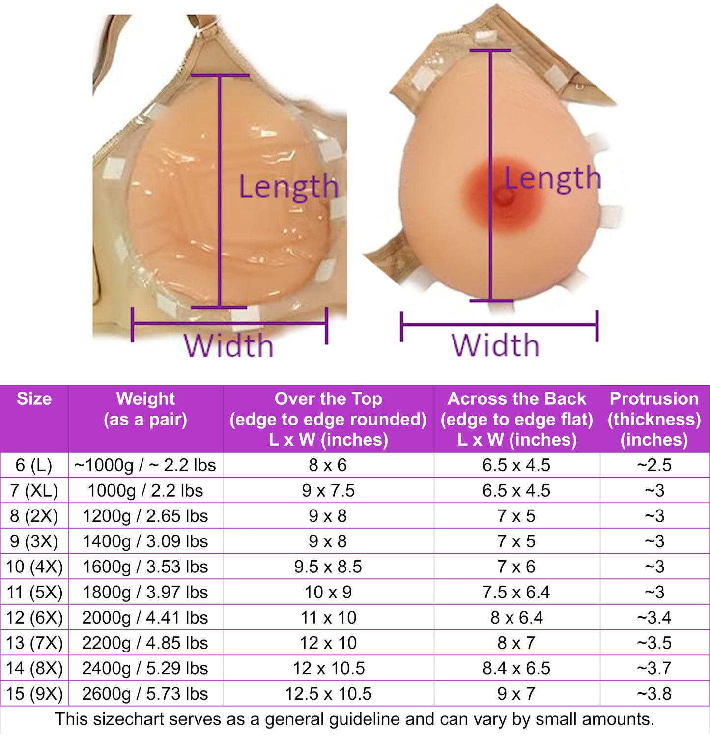 Envy Body Shop Silicone Breast Form with Bra Included