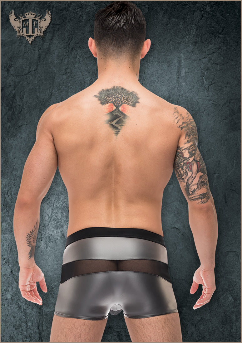 123245 Short - Back View