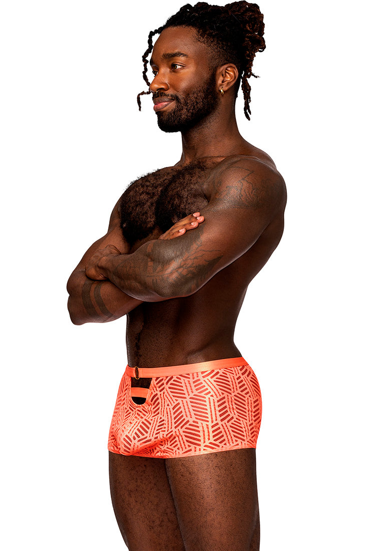 125284 Cheeky Cutout Short