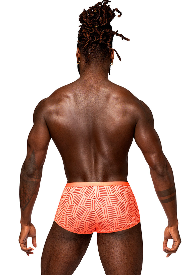125284 Cheeky Cutout Short - Back View