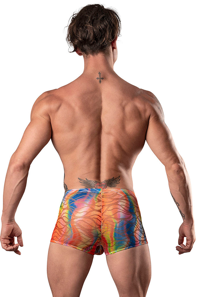 131293 Pouch Short - Back View