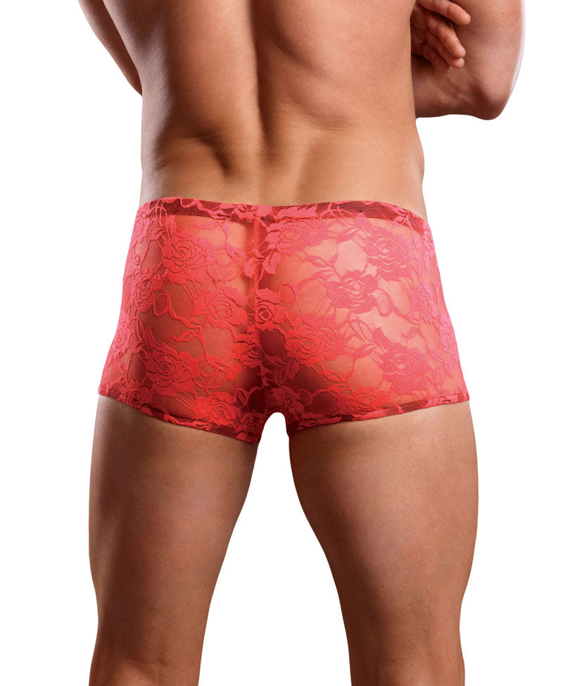 Envy Body Shop Sissy Pouch Lace Boyshorts Panty