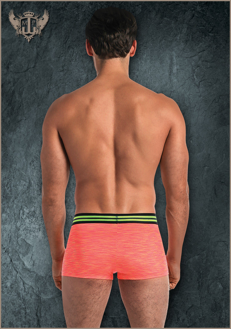 145229 Mini Short - Back View