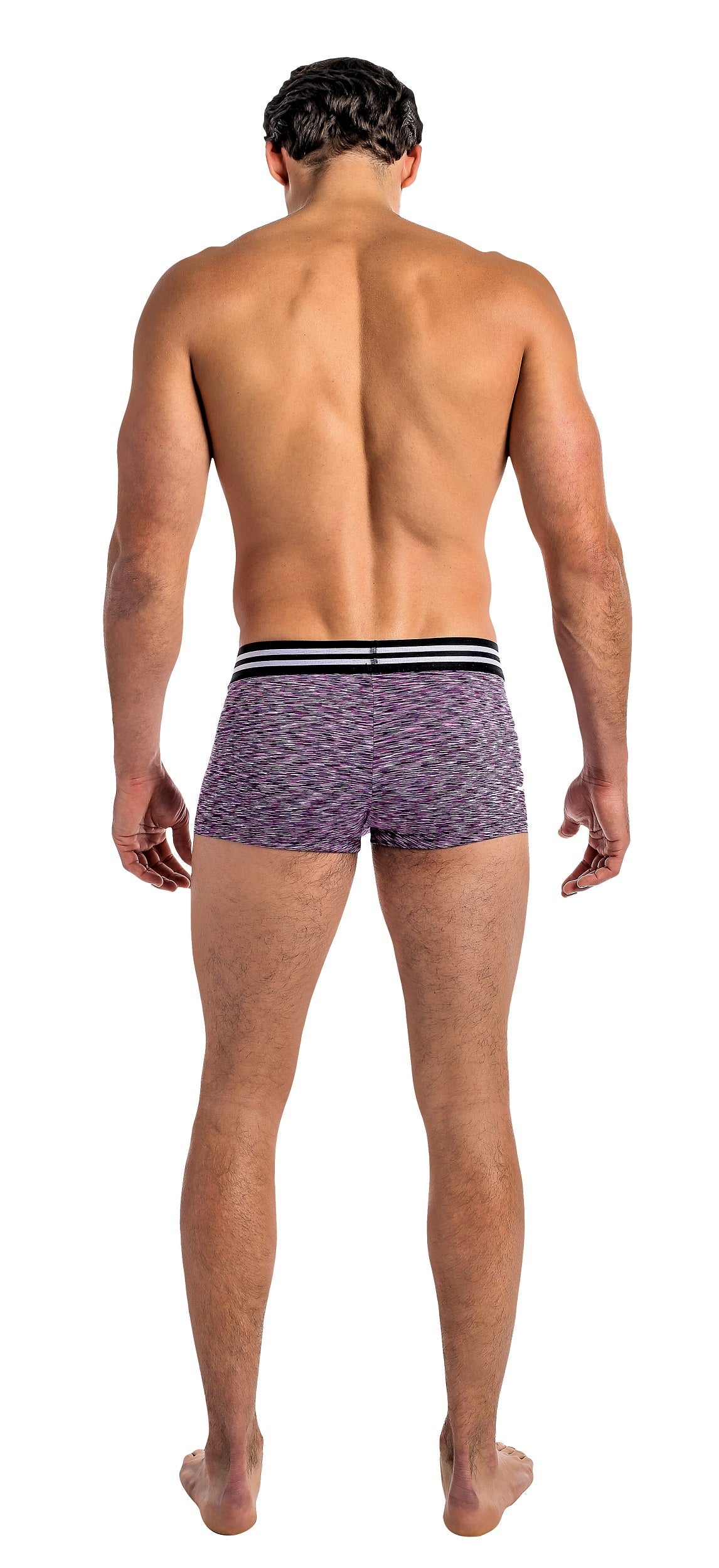 145229 Mini Short - Back View