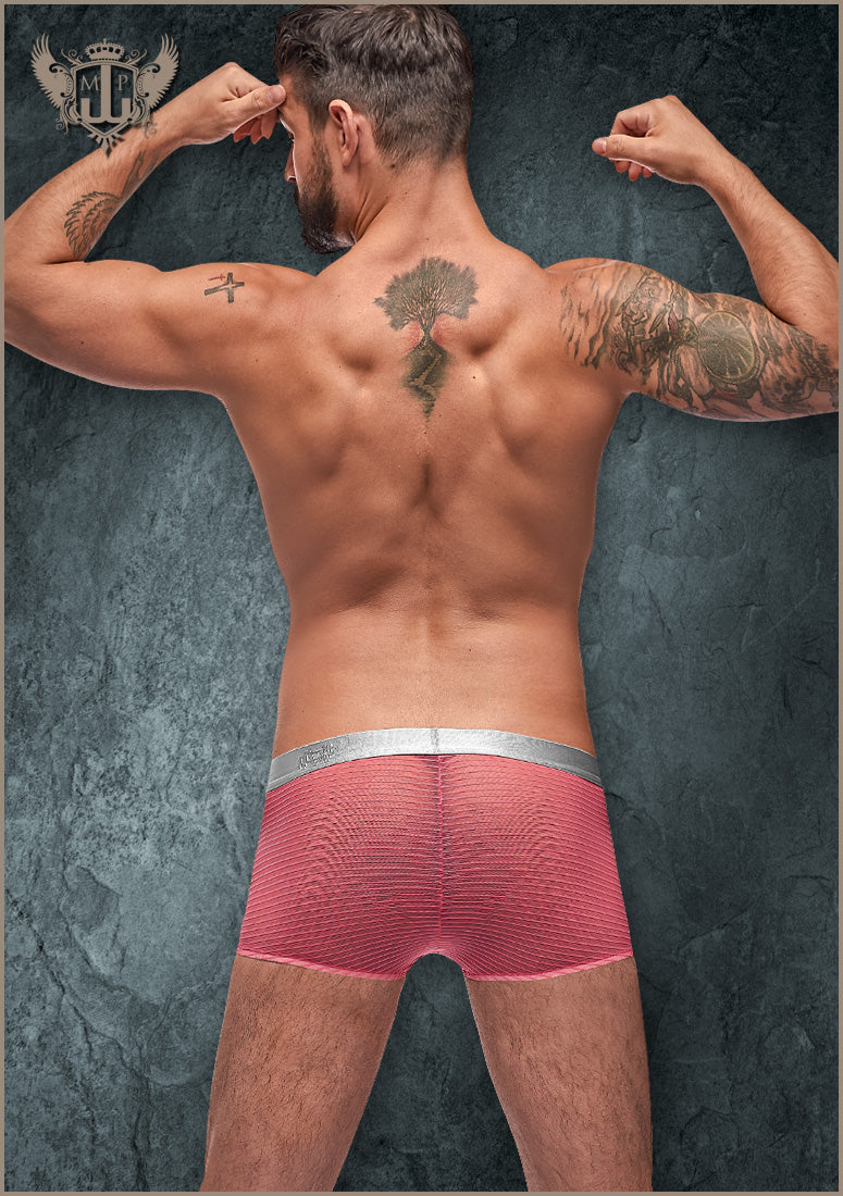 145252 Mini Short - Back View