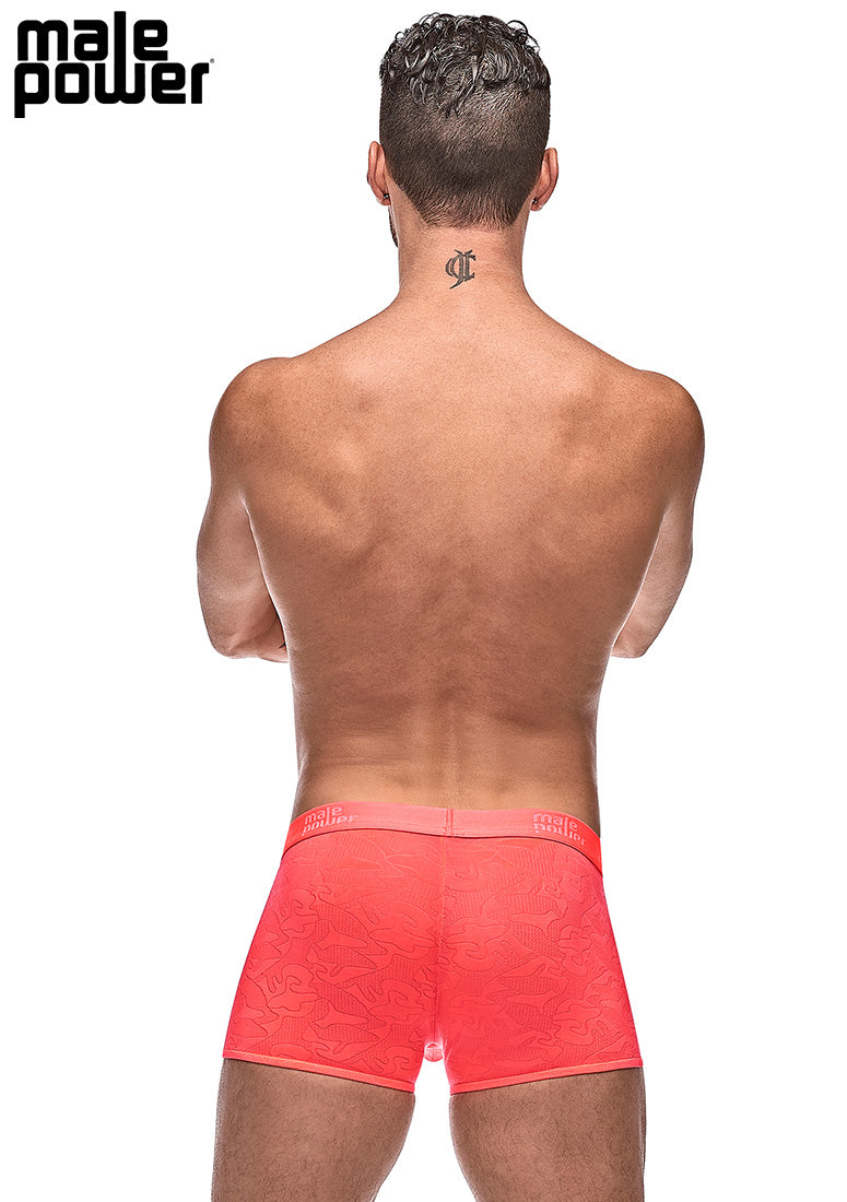 145263 Short - Back View