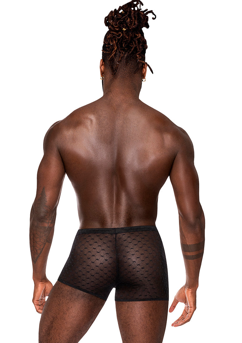 145279 Mini Short - Back View