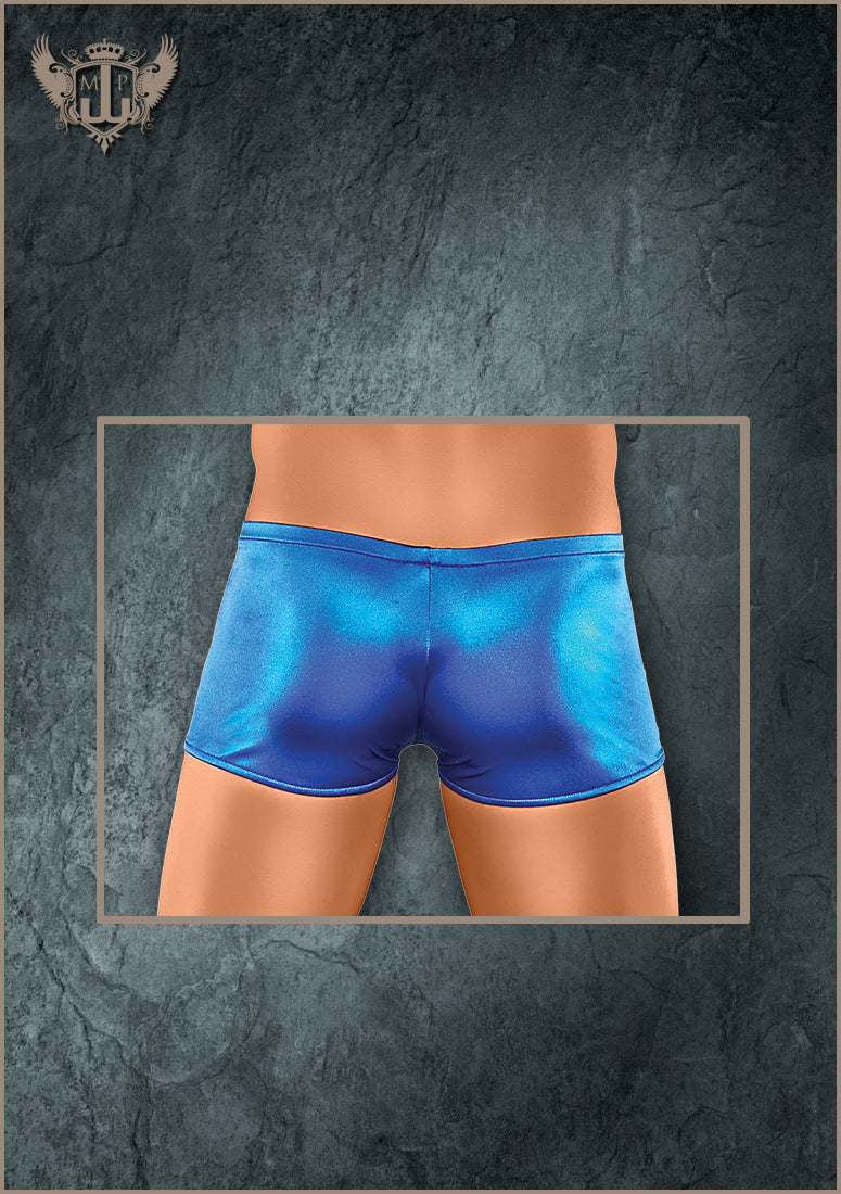 153076 Lo Rise Short - Back View