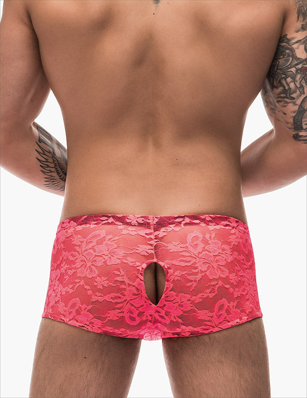 Envy Body Shop Sissy Pouch Lace Double Pleasure Boyshorts Panty Frontless Backless