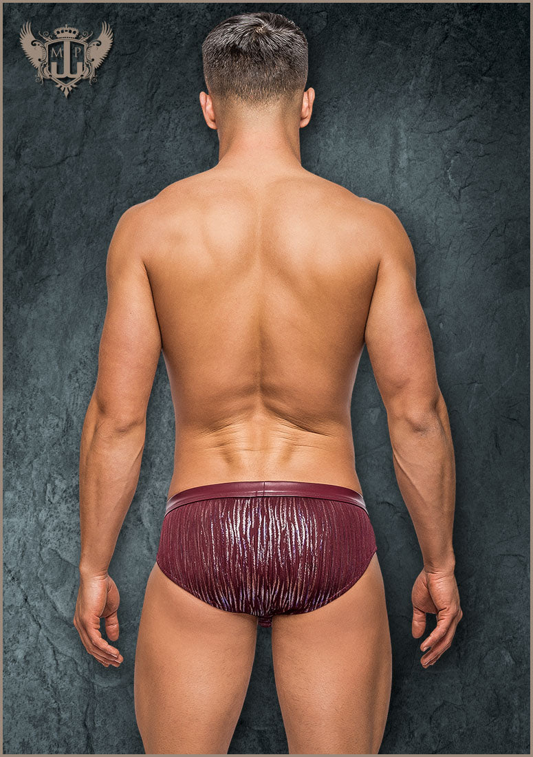 413242 Insert Thong - Back View