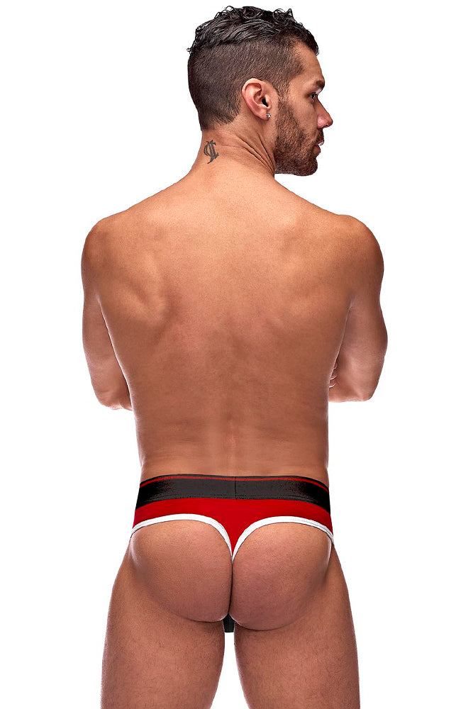 414265 Panel Thong - Back View