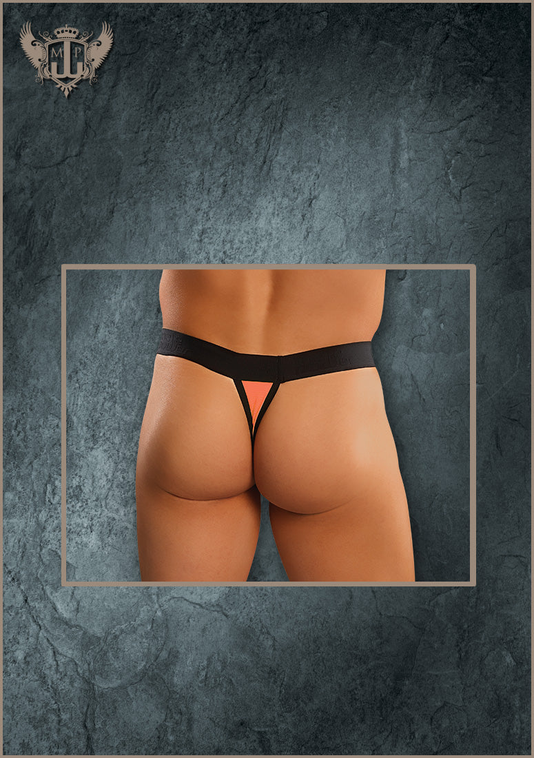43307B Micro Thong - Back View