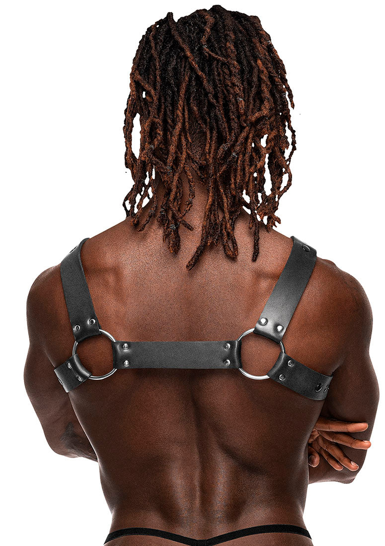 594266 Virgo - Back View