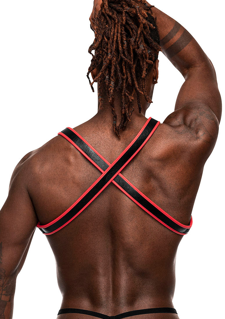 596266 Leo - Back View