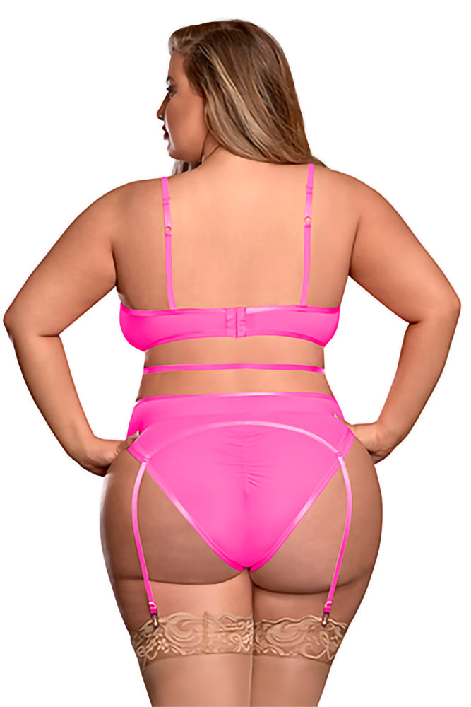 M213 Bra, Garter Belt & Panty Set - Back View
