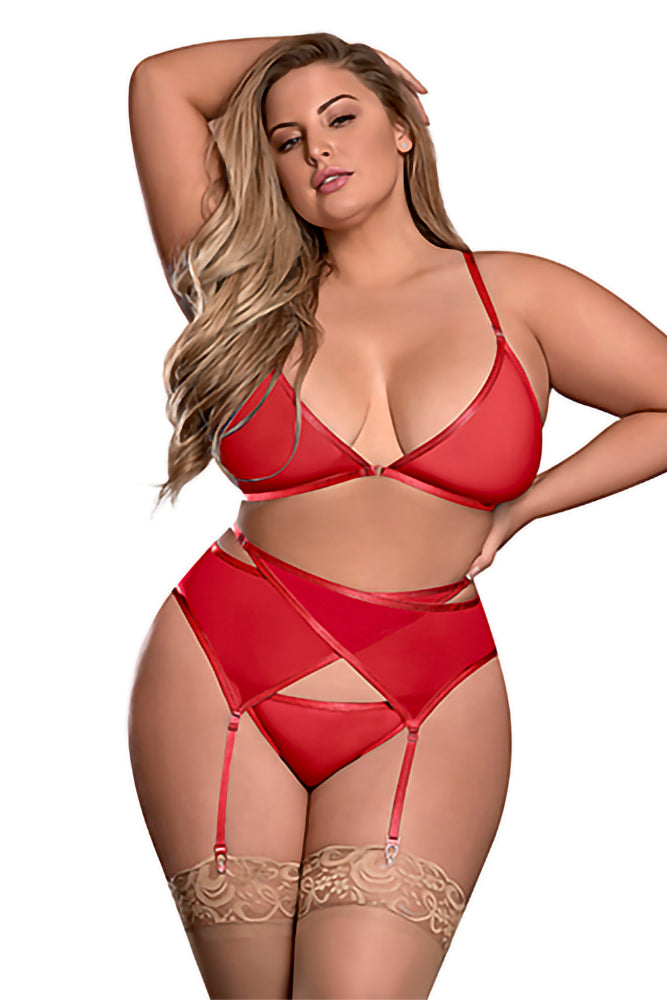 M213 Bra, Garter Belt & Panty Set
