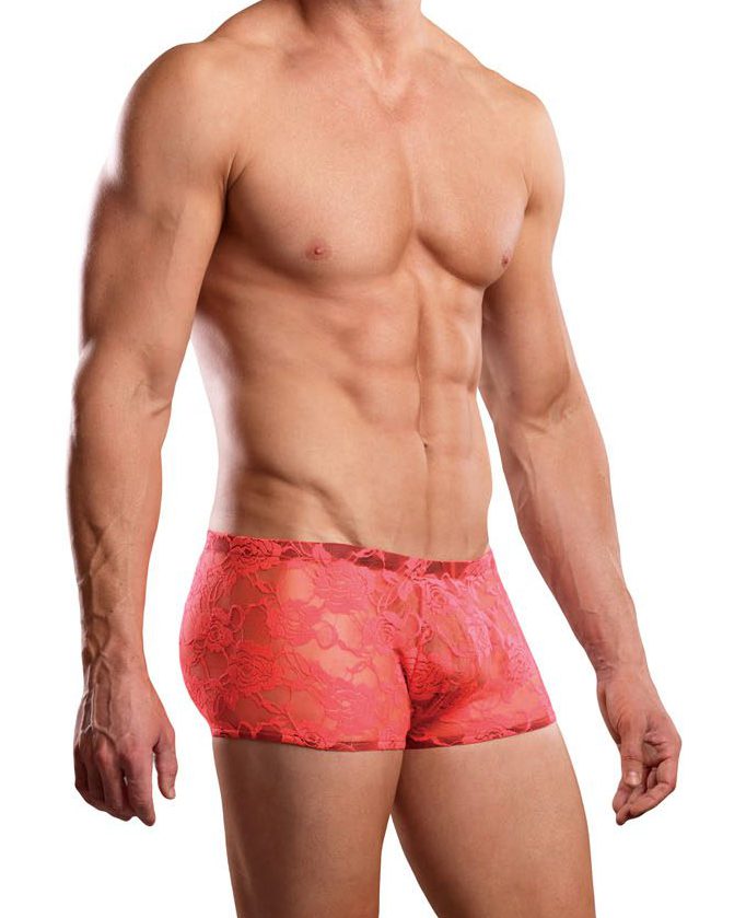 Envy Body Shop Sissy Pouch Lace Boyshorts Panty