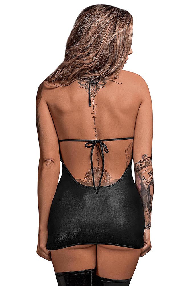PAK220 Xena - Back View