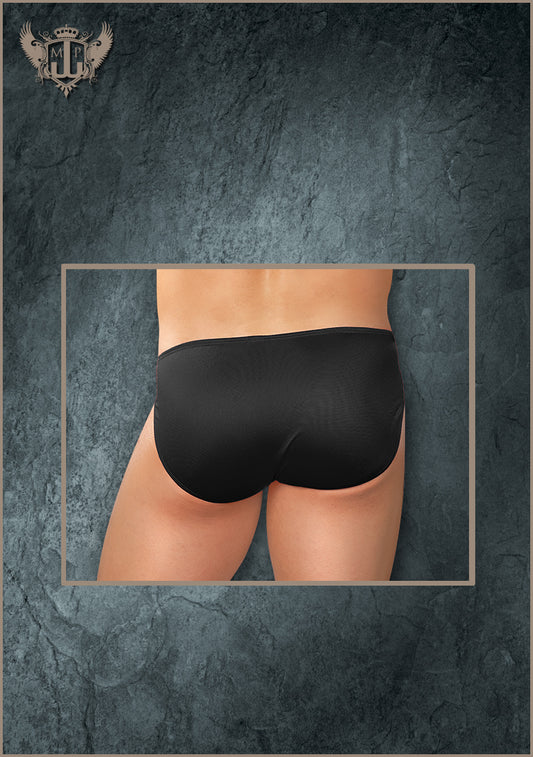 PAK826 Pouchless Brief - Back View