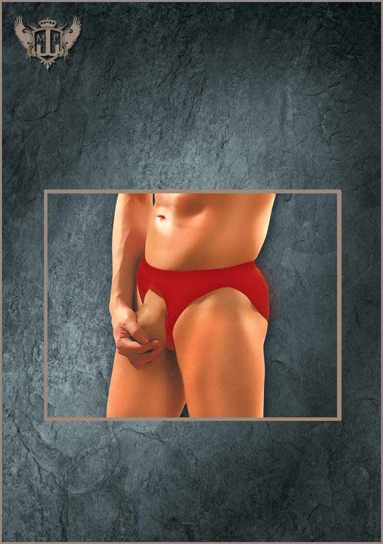 PAK826 Pouchless Brief