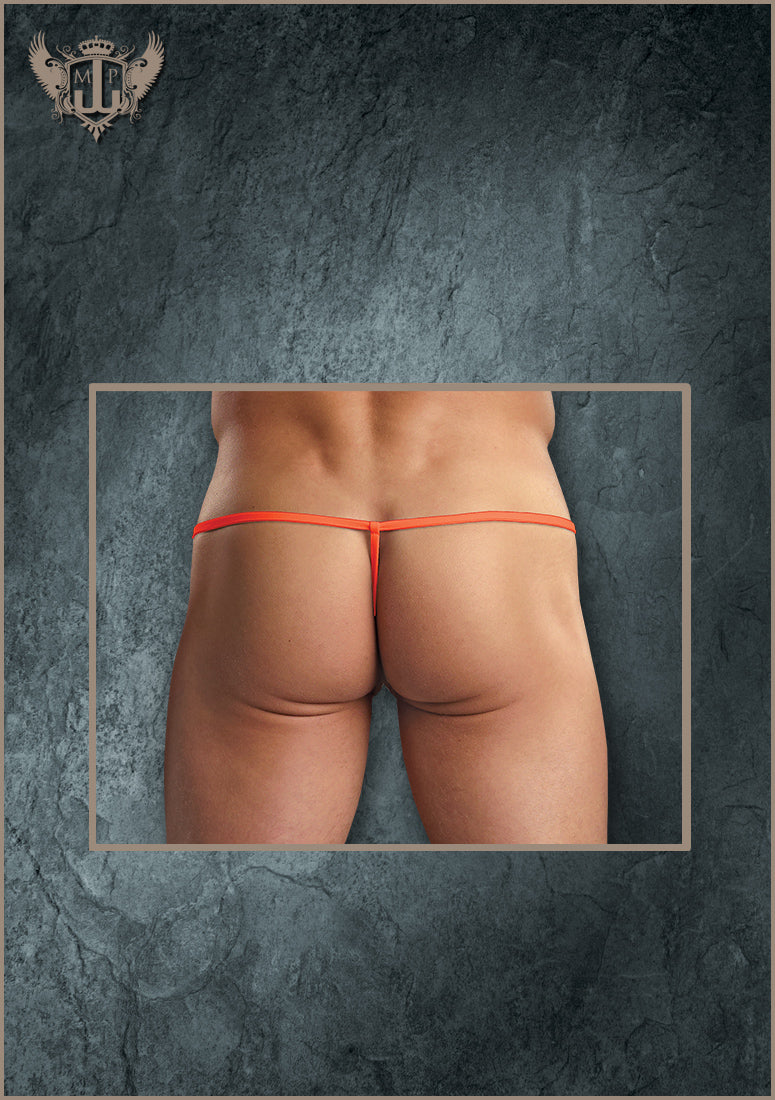 PAK870 Pouch G String - Back View