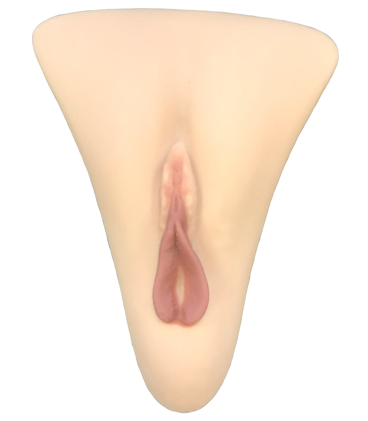Transforming Me Gaff Panty Insert Silicone Vagina