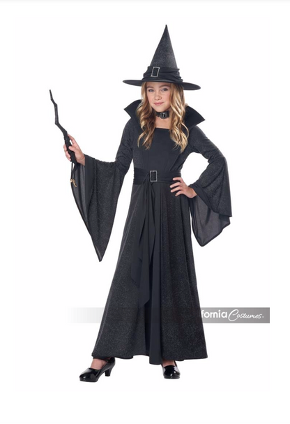 California Costume MOONLIGHT SHIMMER WITCH / CHILD