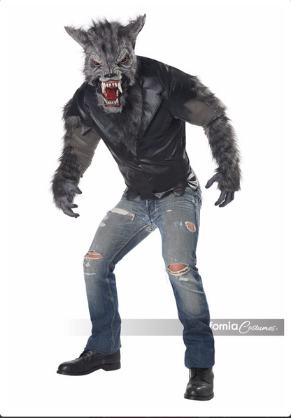 California Costume FULL MOON FURY / ADULT Men
