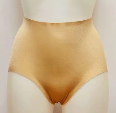 Firm Shaping Panty Brief 007