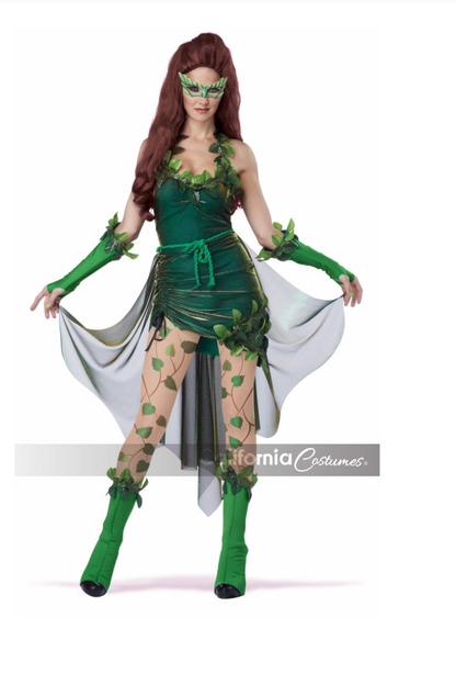 California Costume Lethal Beauty (Used; no leggings)