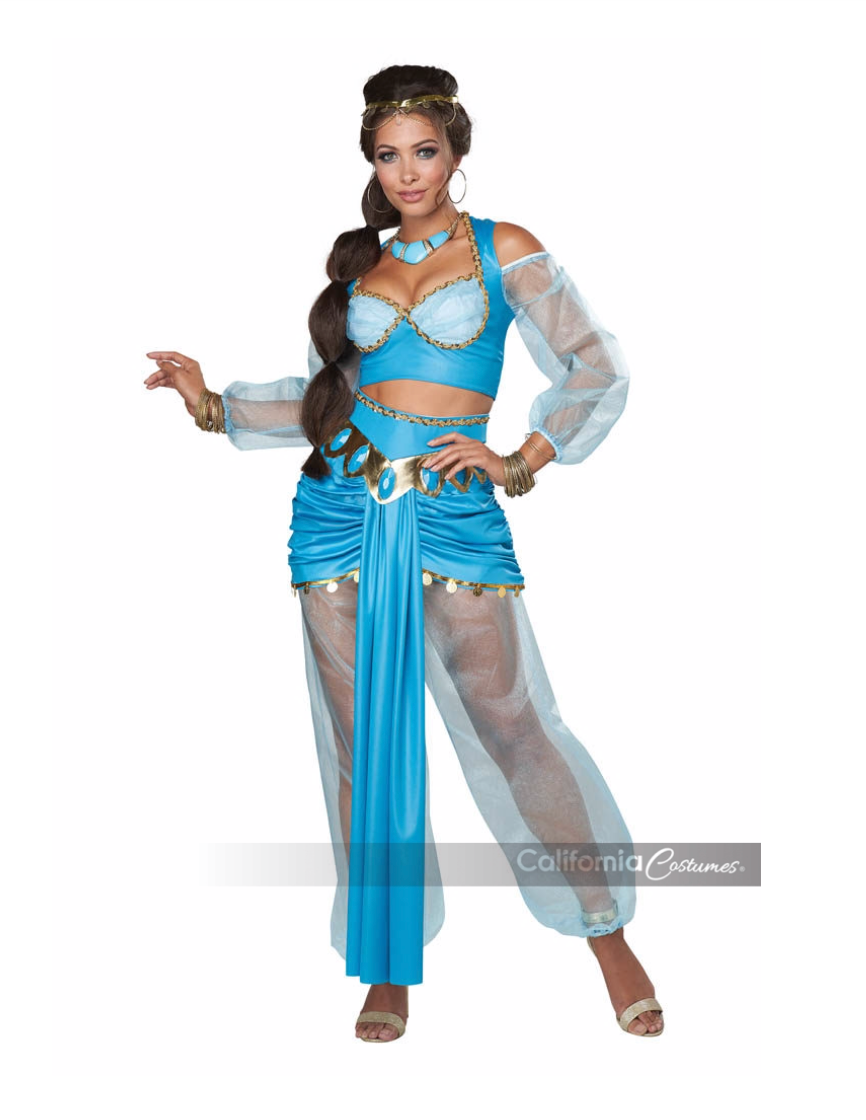 California Costume Arabian Princess