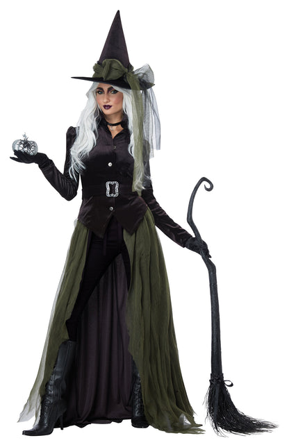 California Costume Gothic Witch Costume