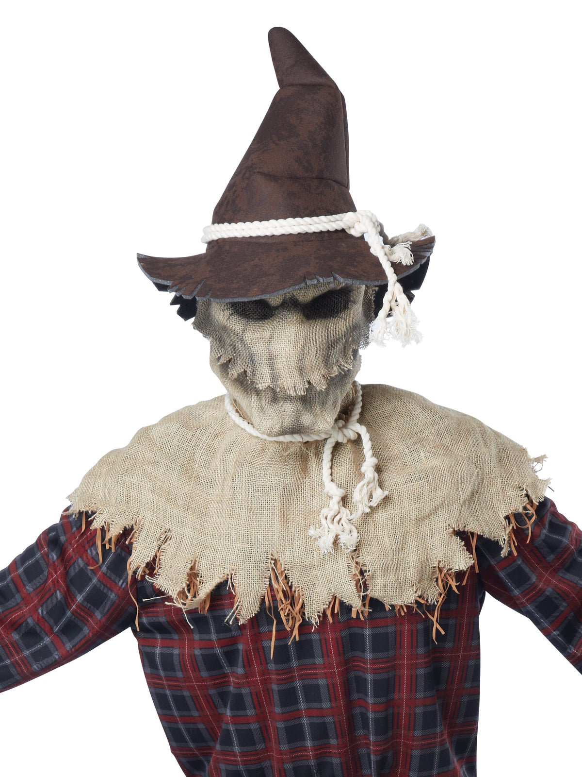 California Costumes Sadistic Scarecrow - Adult (Used)