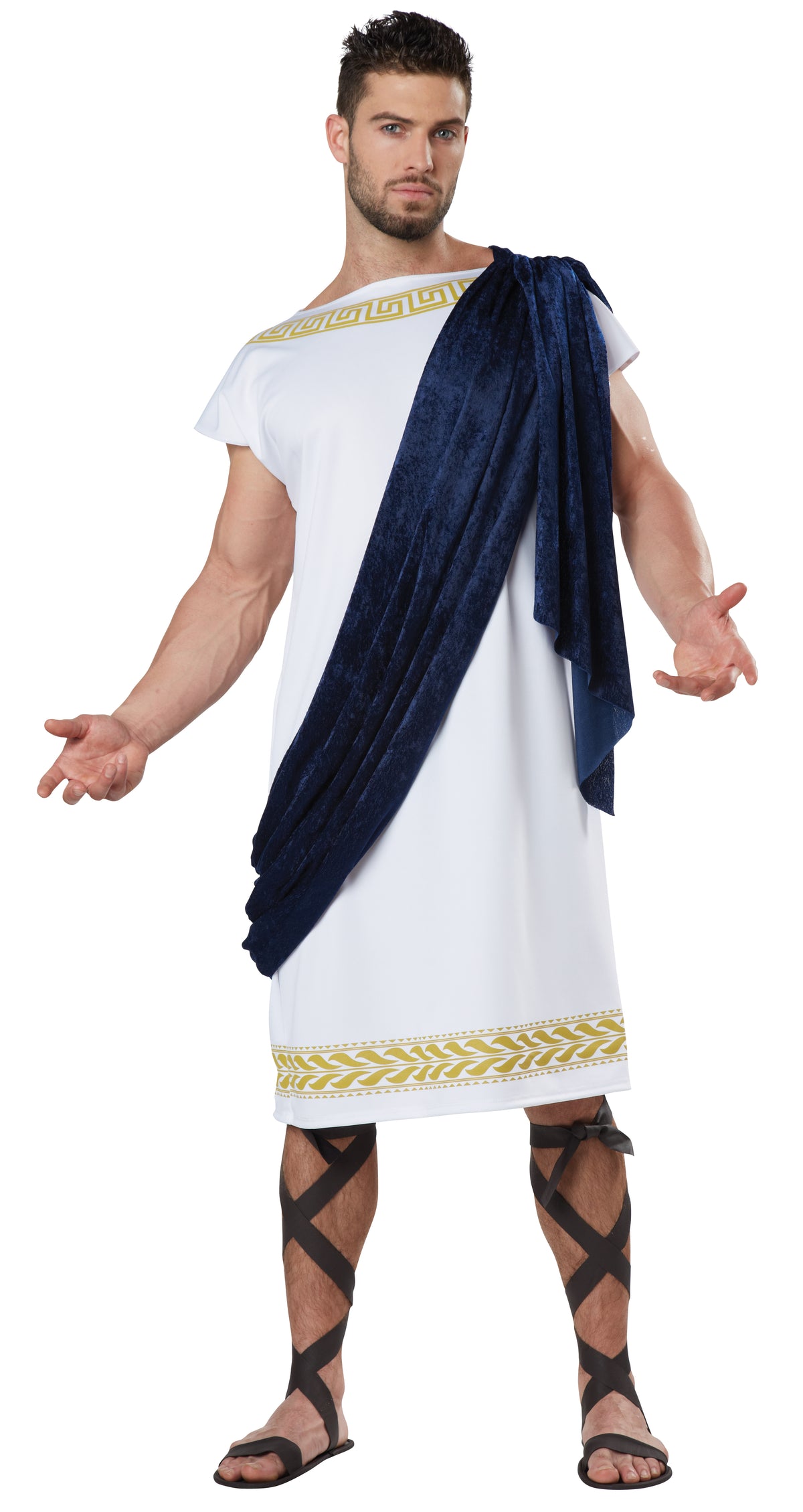 California Costumes Grecian Toga Adult