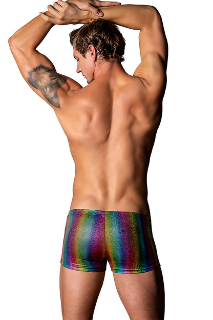 132297 Pocket Short - Back View
