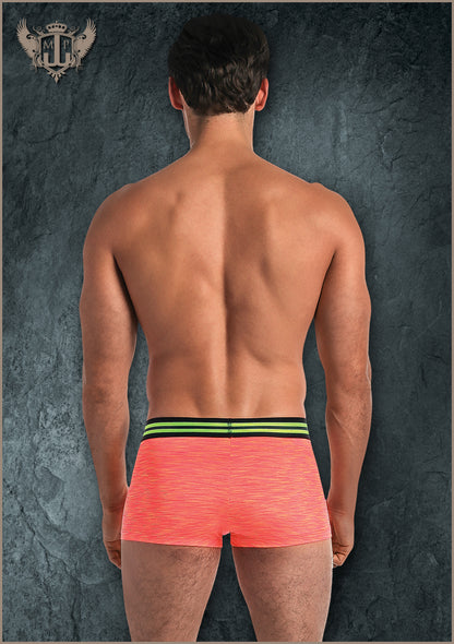 145229 Mini Short - Back View