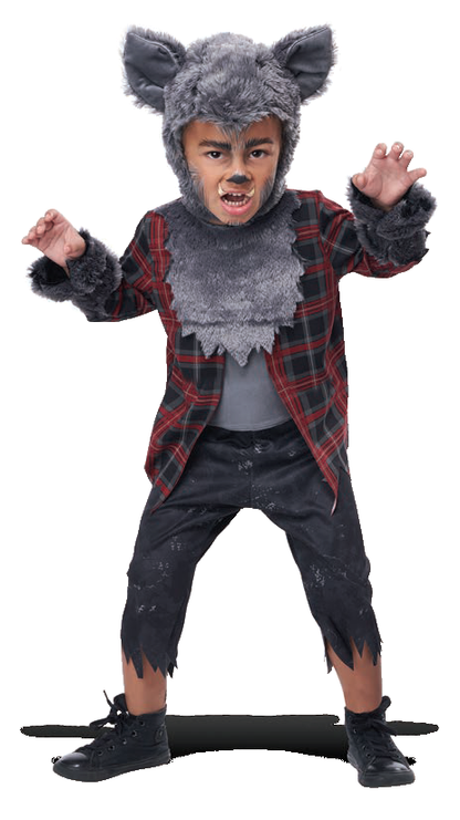 California Costumes Werewolf Pup Toddler Costume