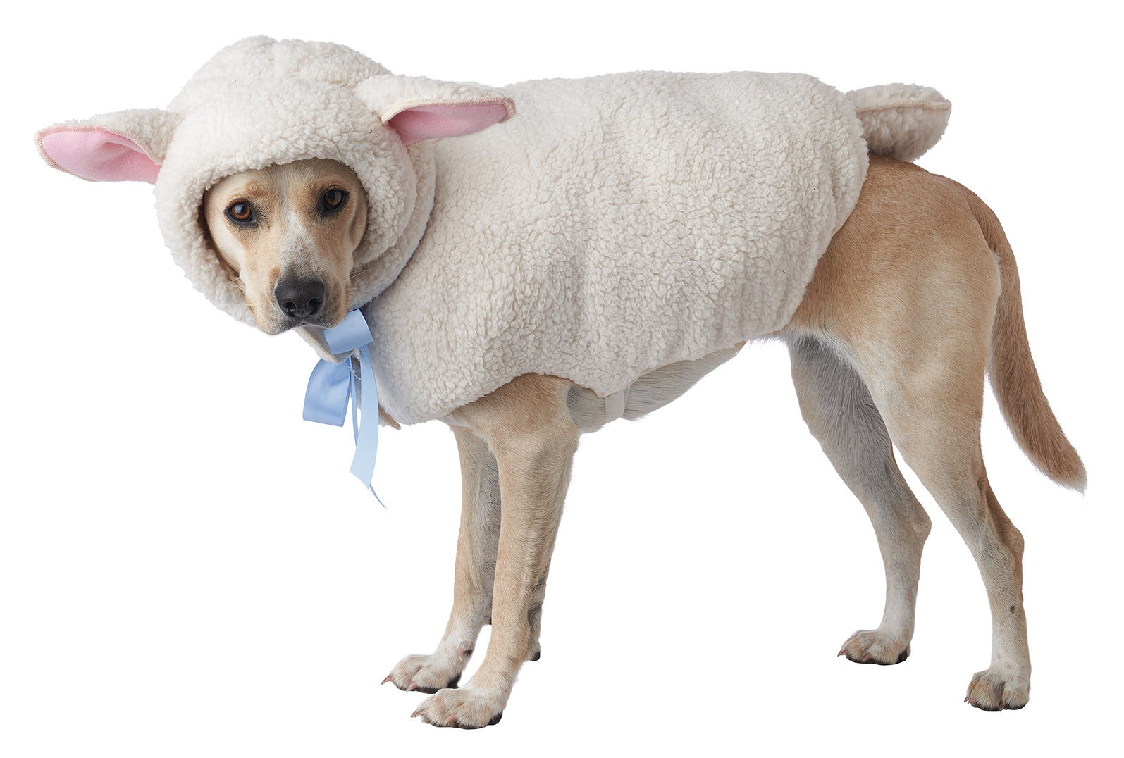 California Costumes Sheep Dog Costume
