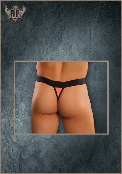 43307B Micro Thong - Back View