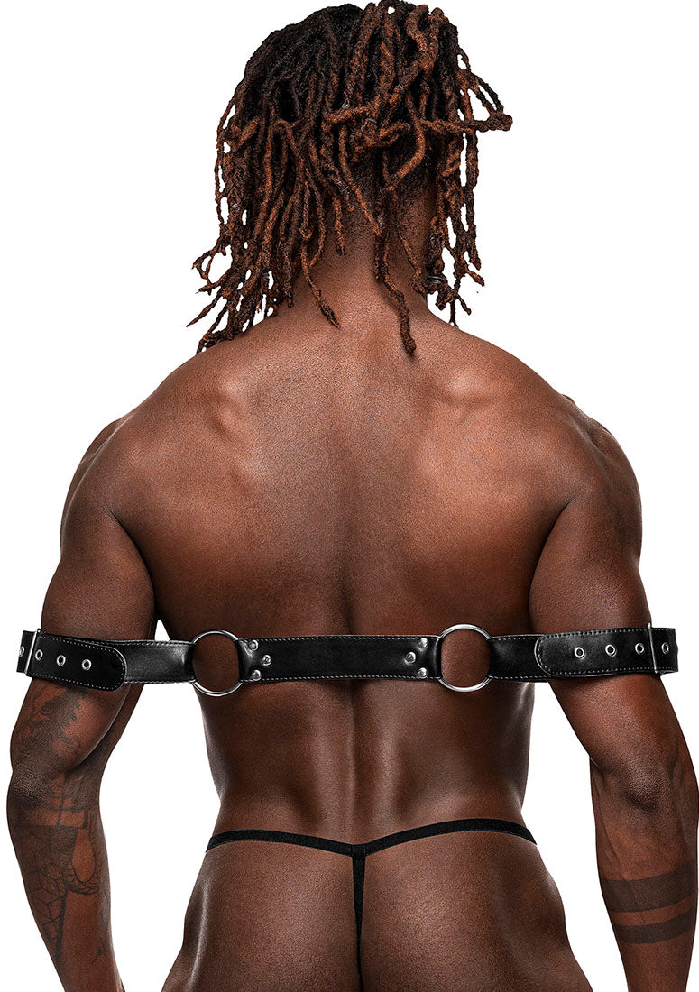 510266 Pisces - Back View