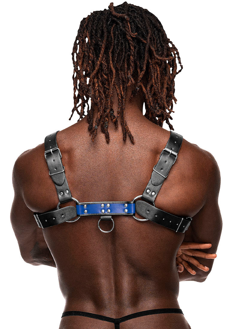 590266 Aries - Back View