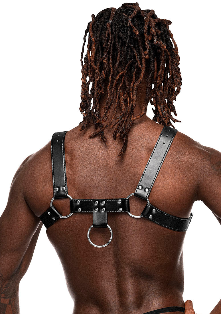 595266 Libra - Back View