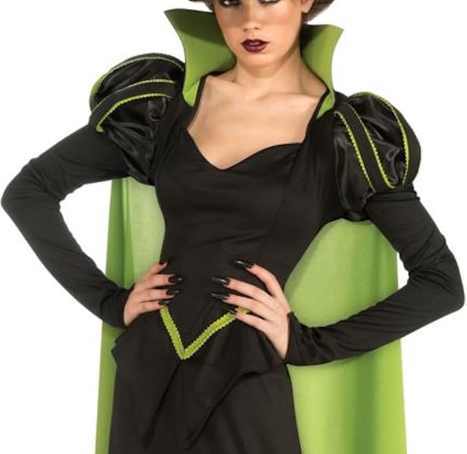 Rubie's Costume Wizard Of Oz 75th Anniversary Edition Adult Wicked Witch Of The West
