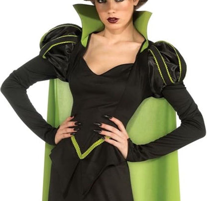 Rubie's Costume Wizard Of Oz 75th Anniversary Edition Adult Wicked Witch Of The West