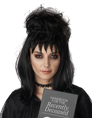 California Costumes Beetle Girl Wig,  ACC-NOPACKAGING