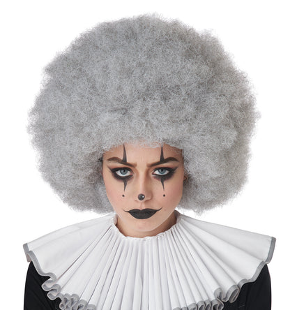 California Costumes Jumbo Afro Wig, ACC