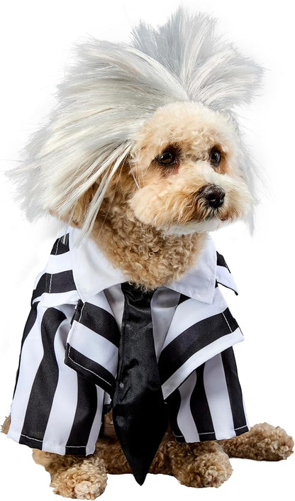 Beetlejuice: Beetlejuice Pet Costume for For Dogs or Cats by Rubies