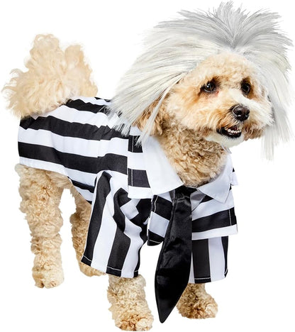 Beetlejuice: Beetlejuice Pet Costume for For Dogs or Cats by Rubies
