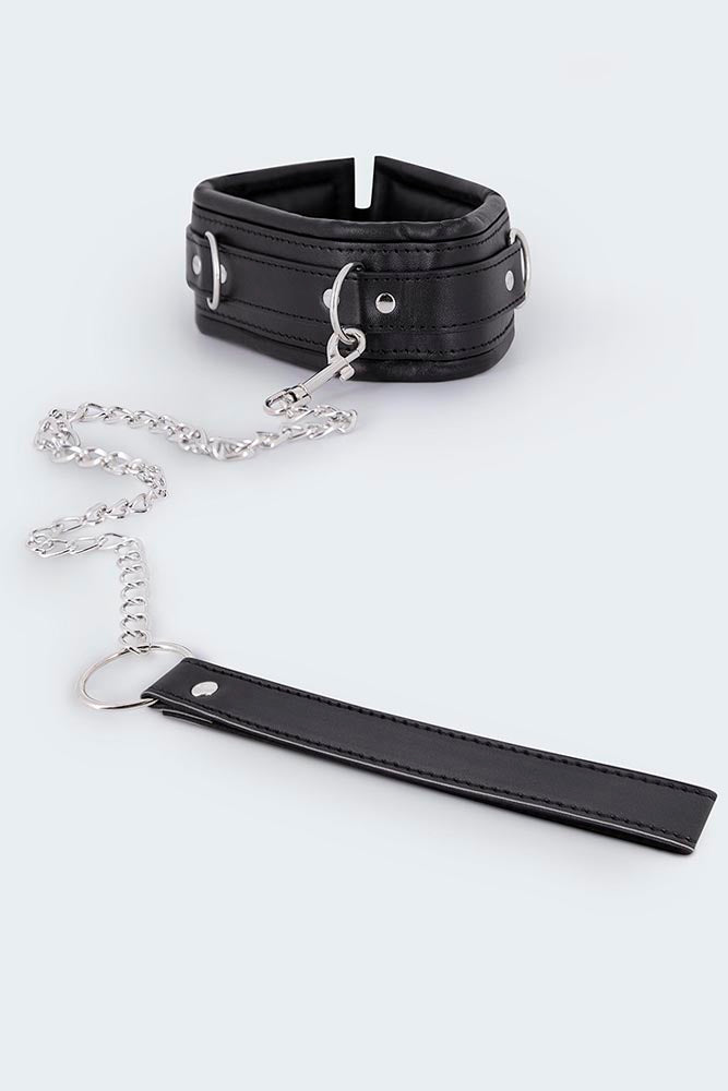 802466 Collar & Leash