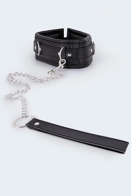 802466 Collar & Leash